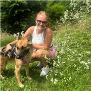 Imparare l'inglese può essere divertente e interessante!